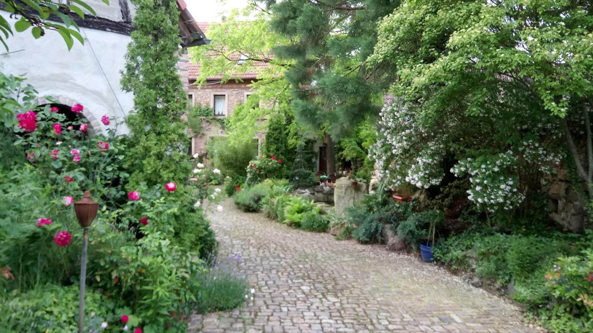Dannenfels"El Patio" Am Donnersbergアパートメント エクステリア 写真