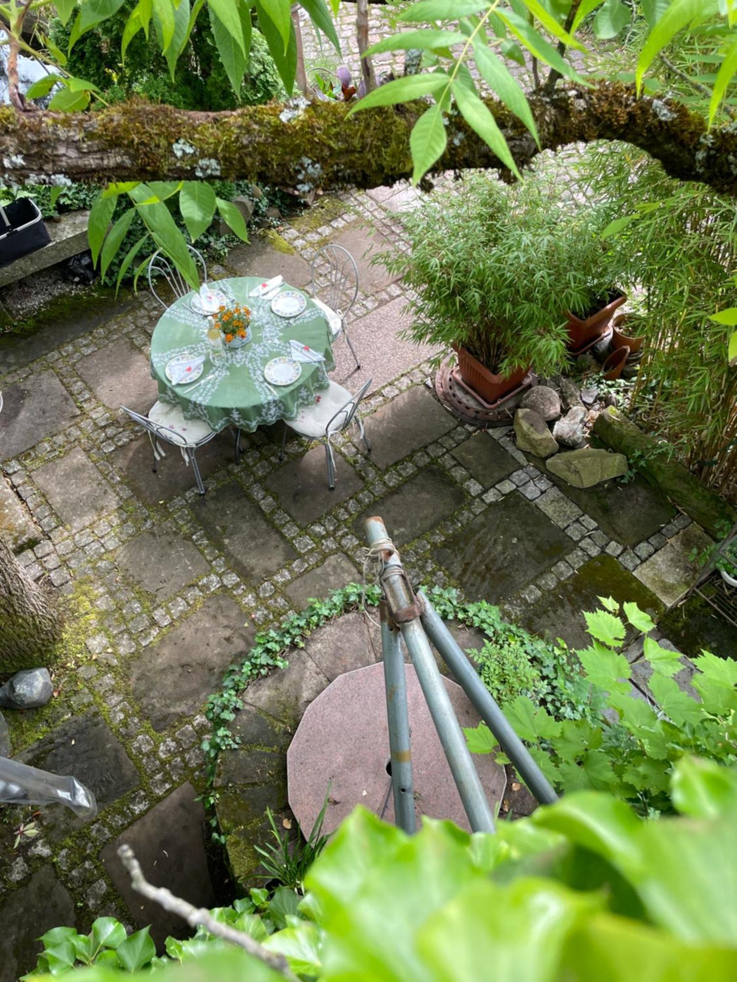 Dannenfels"El Patio" Am Donnersbergアパートメント エクステリア 写真