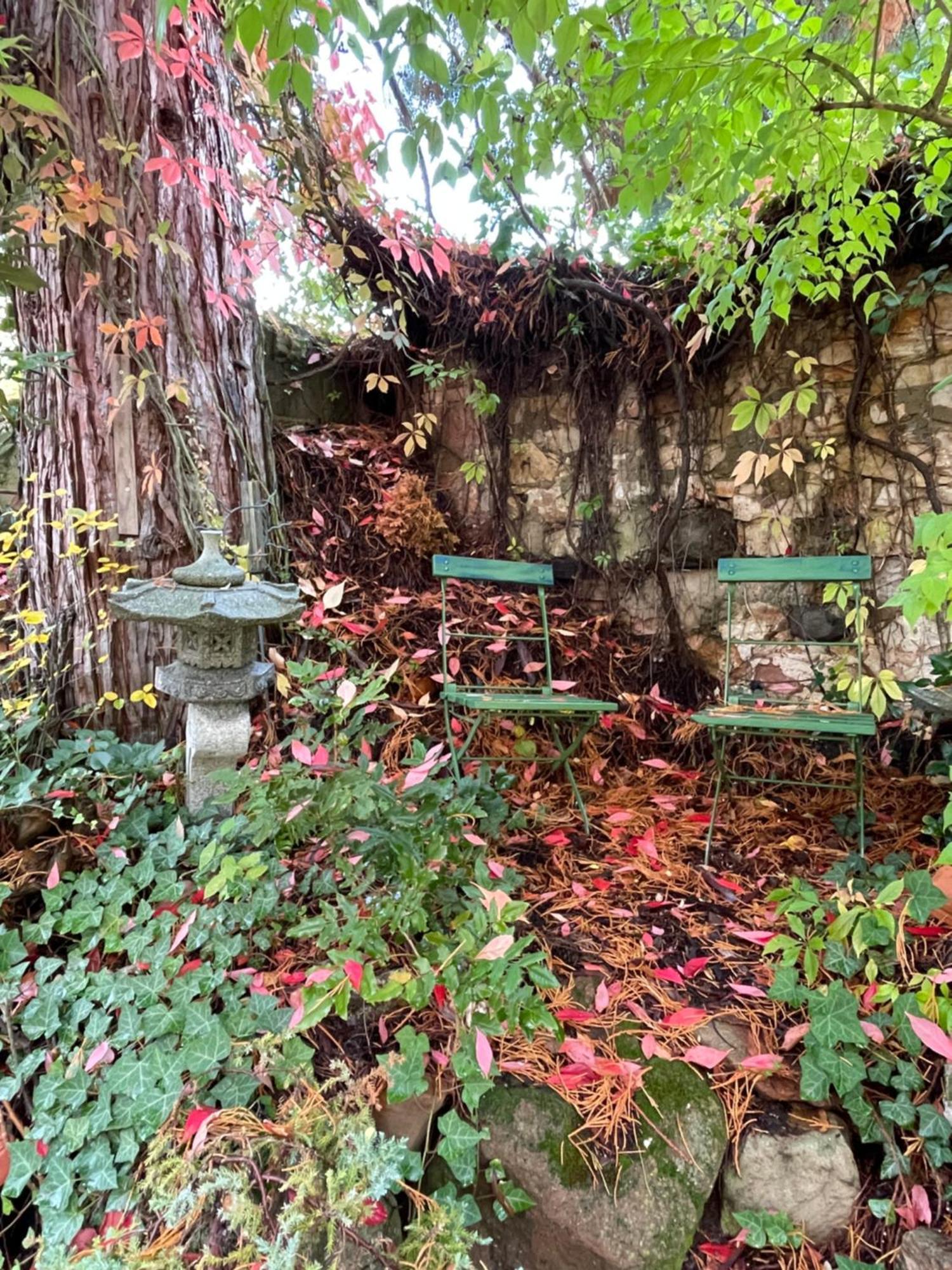 Dannenfels"El Patio" Am Donnersbergアパートメント エクステリア 写真